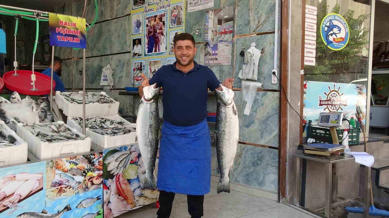 kilis-te-balik-sezonu-acildi-tezgahlar-cesitlendi