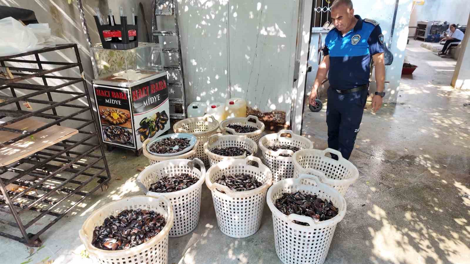 mersin-de-200-kilo-bozuk-midye-dolmasi-ele-gecirildi
