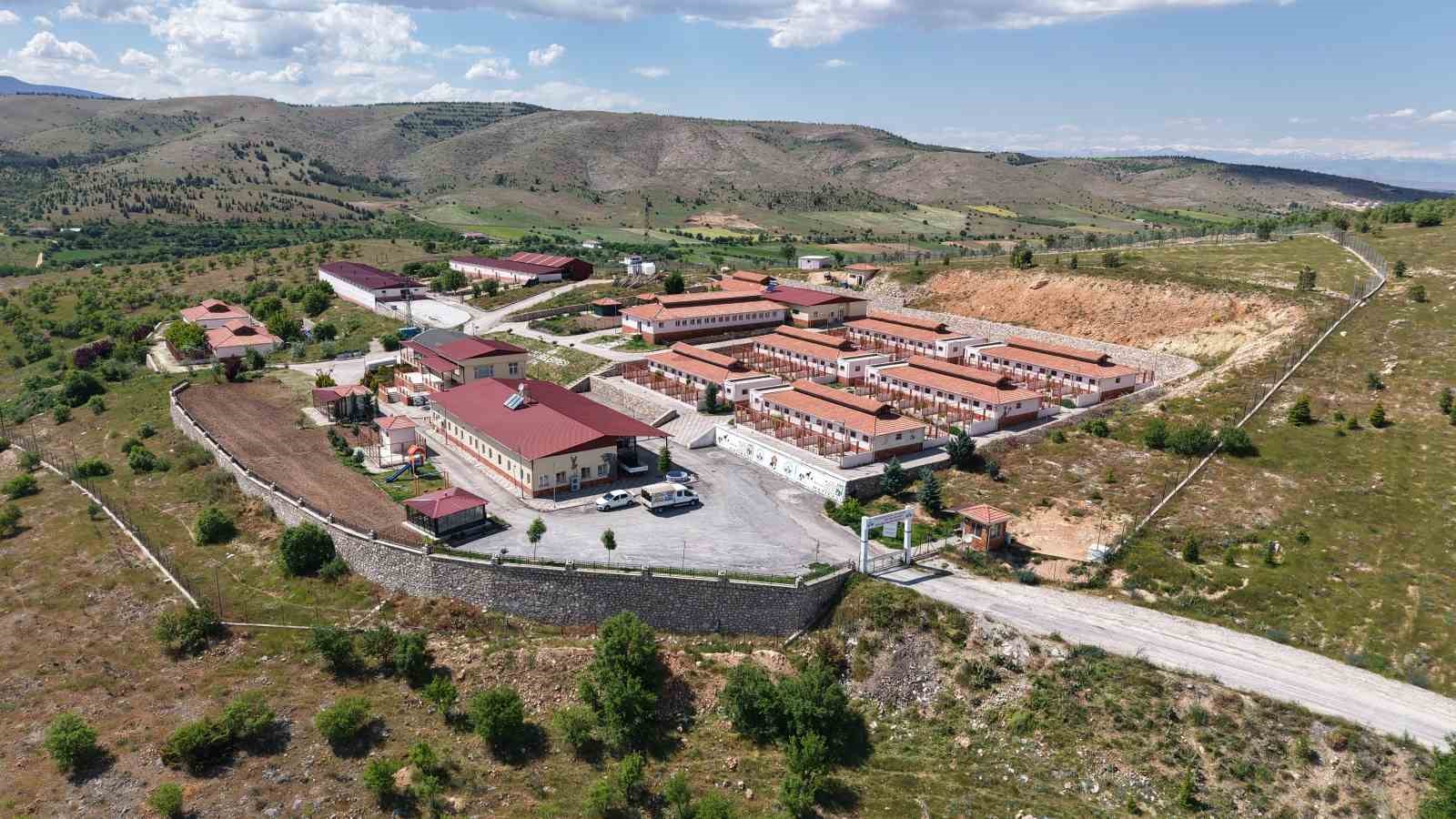 elazig-belediyesi-hayvan-bakim-merkezi-nde-9-yilda-15-bin-368-hayvan-tedavi-edildi