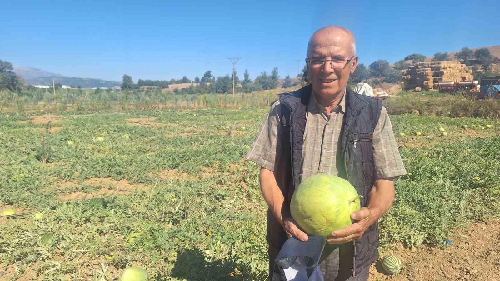 manisali-ciftci-dede-mirasi-ata-tohumu-karpuz-gelenegini-surduruyor
