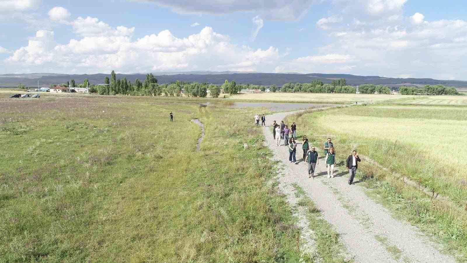 kars-ve-ardahan-da-52-bin-hektarlik-alanda-arazi-toplulastirma-incelemesi