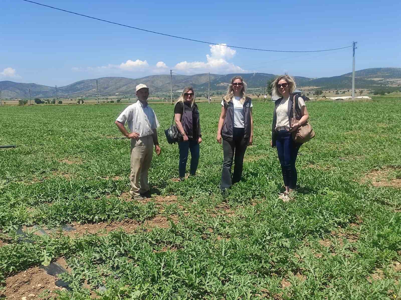 medetli-karpuzu-iyi-tarimla-gelecege-tasiniyor