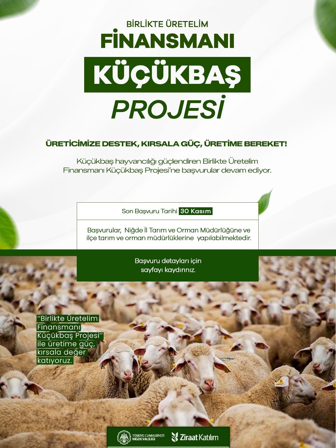 nigde-valiligi-nden-kucukbas-hayvancilik-projesine-basvuru-duyurusu