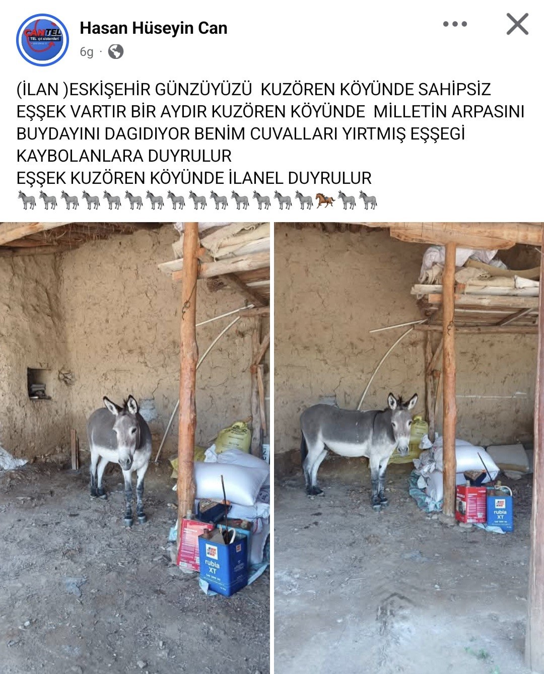 kirsal-mahalledeki-basibos-esek-merak-konusu