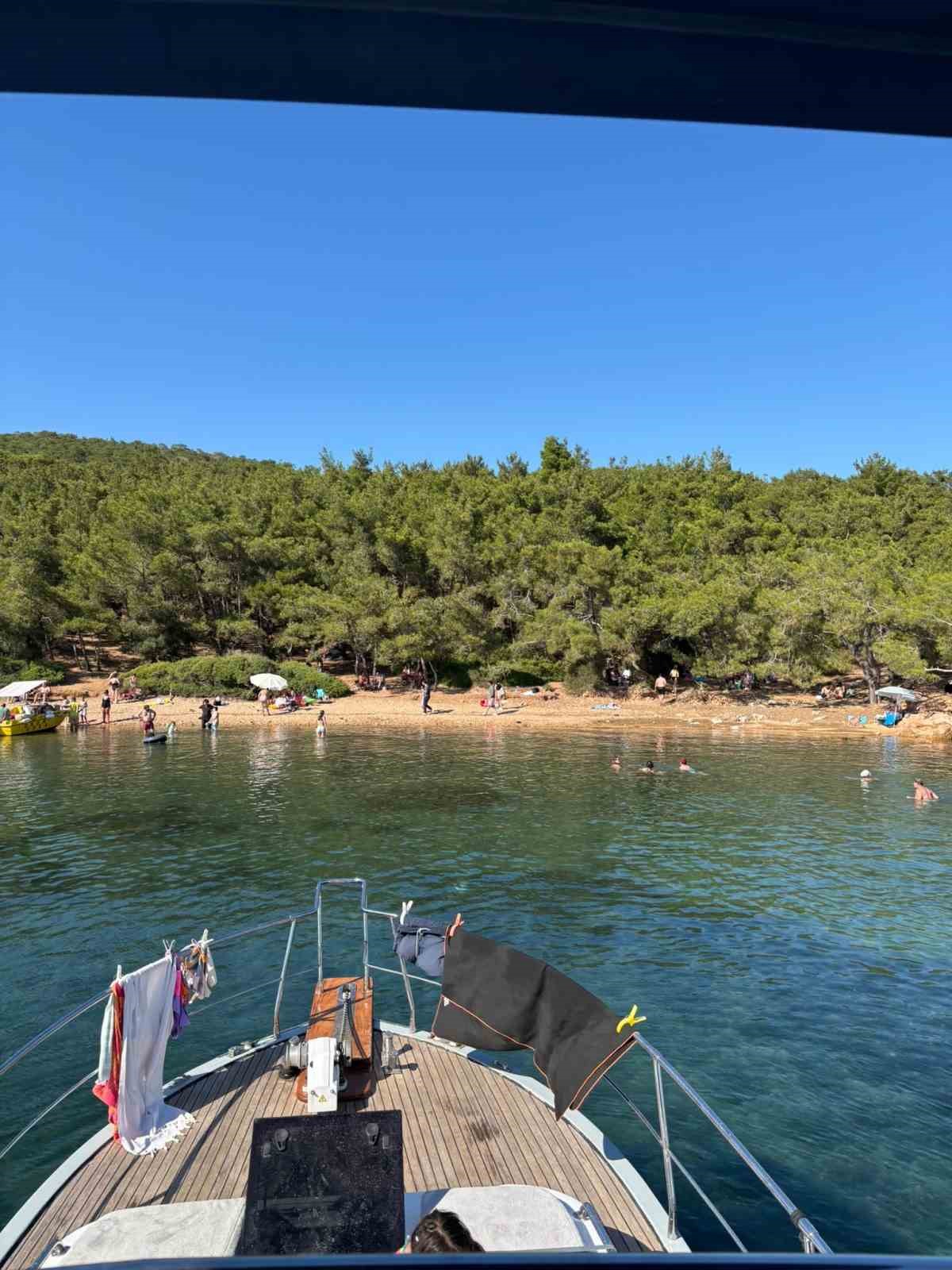 ayvalik-ta-ormanlara-giris-yasak-ama-denetim-yetersiz