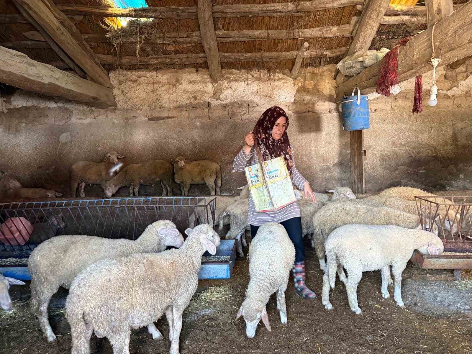 hayvanlara-buyu-yapti-denilerek-vahsice-oldurulen-adamin-karisi-tek-basina-cobanlik-yaparak-2-oglunu-okutmaya-calisiyor