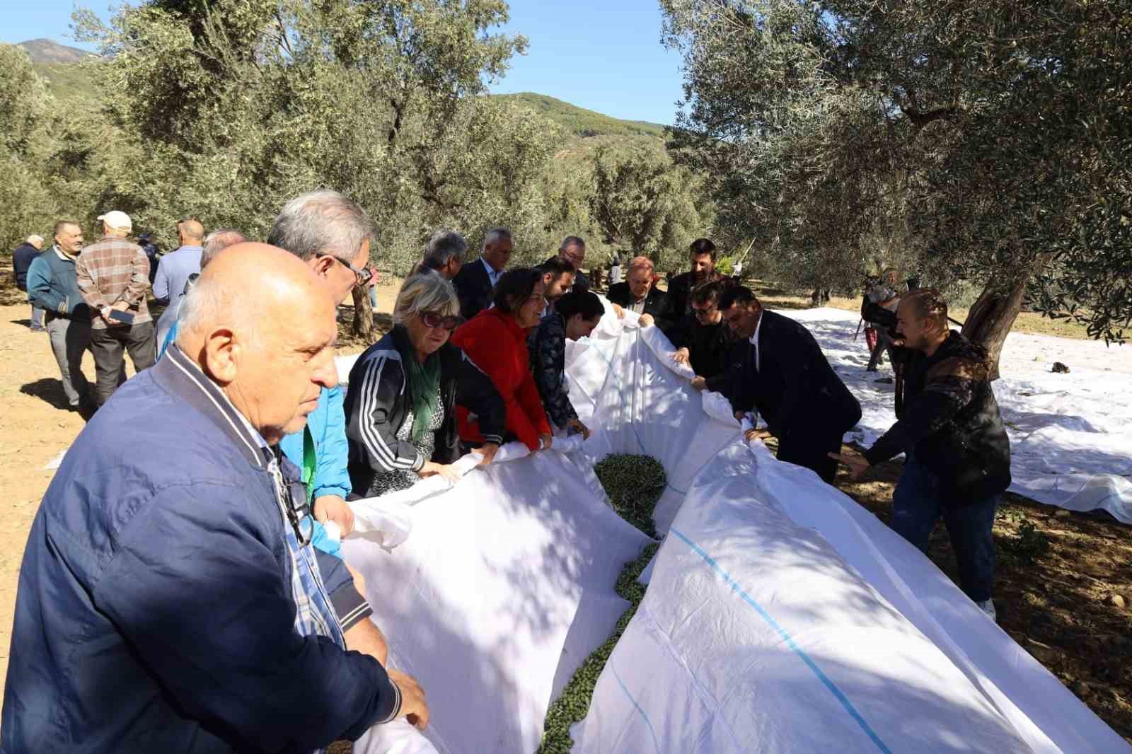 edremit-korfezi-nin-altin-mirasi-icin-3-edremit-festolive-basliyor