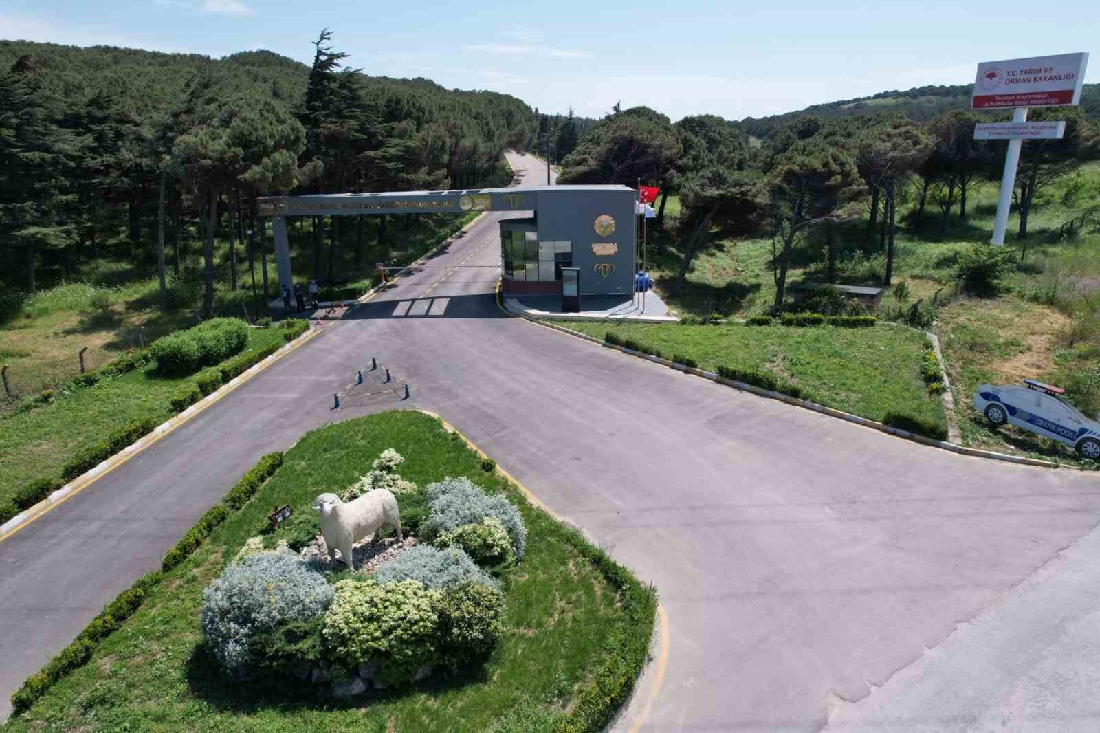 bandirma-koyunculuk-arastirma-enstitusu-nun-tubitak-projesine-destek