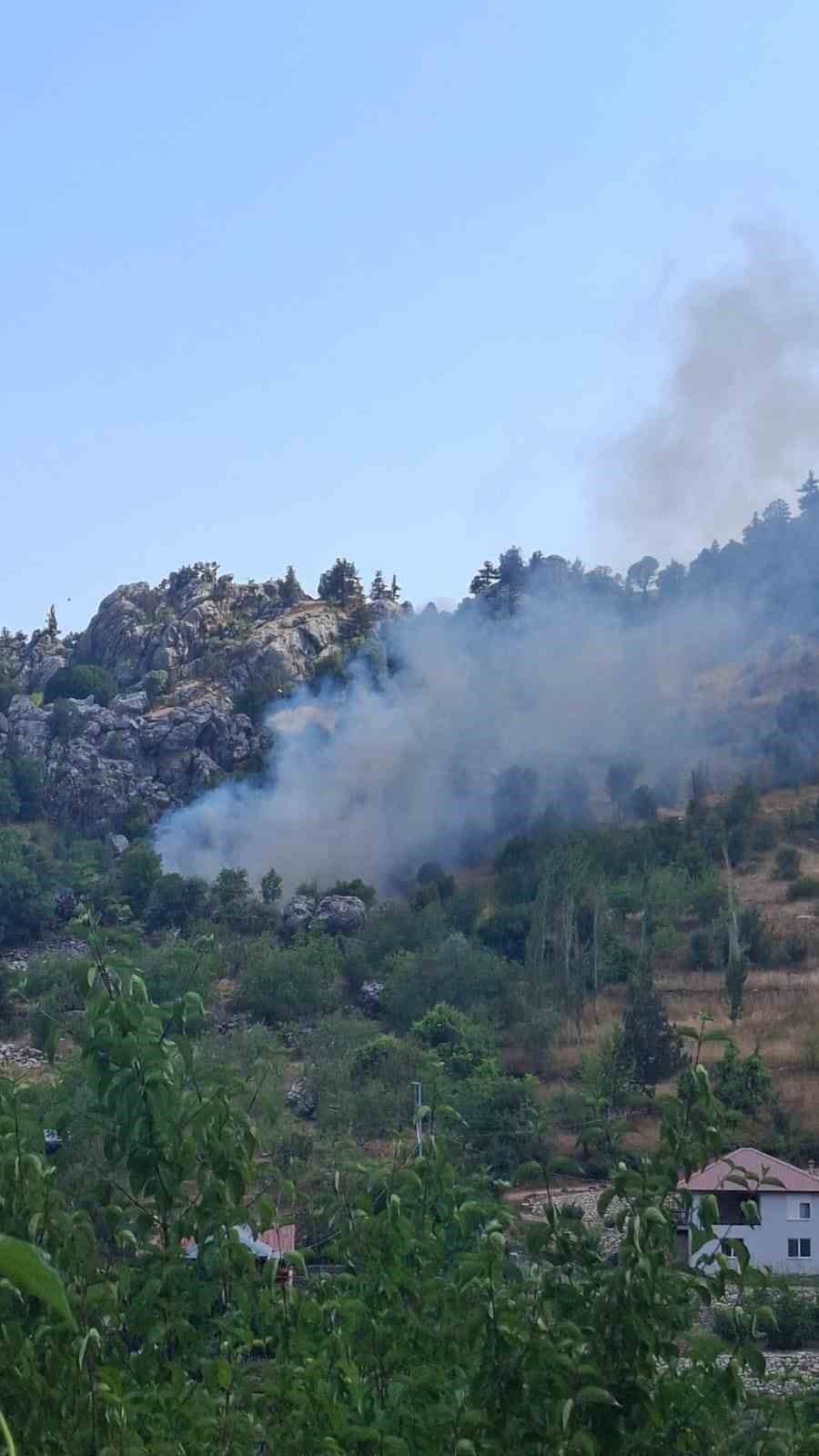 alanya-da-zirai-alanda-cikan-yangin-sonduruldu