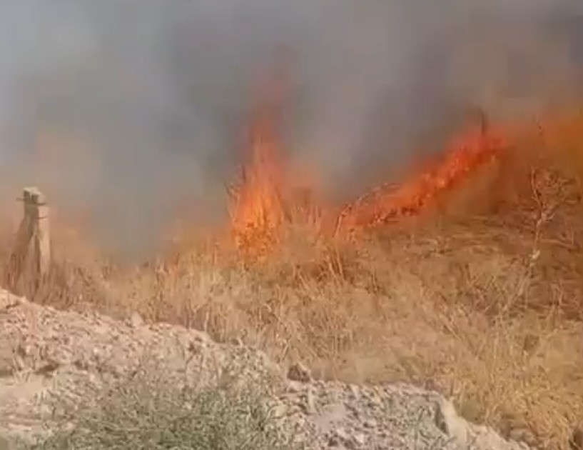 eregli-de-cikan-iki-ayri-yangin-panige-neden-oldu