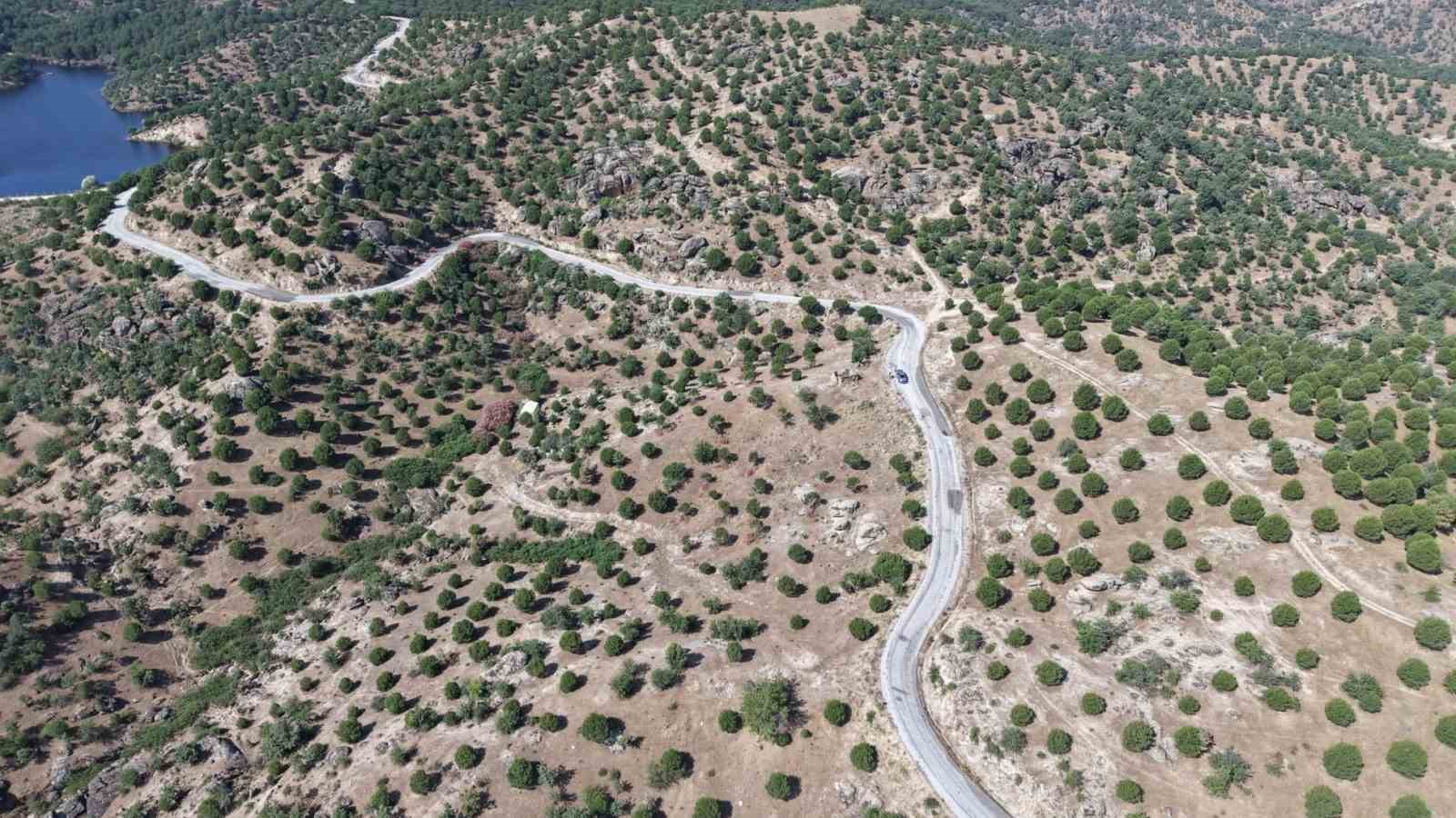 aydin-da-15-yil-once-dikilen-fistikcamlari-kozalak-vermeye-basladi