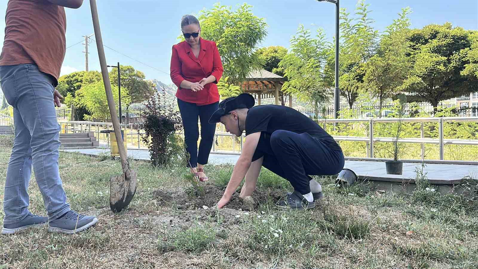 konut-dokunulmazligini-ihlal-etti-adliye-bahcesine-10-fidan-dikti