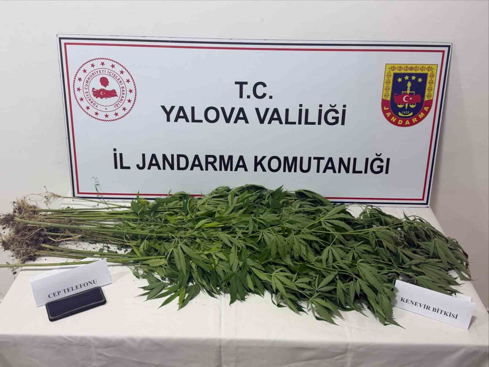 yalova-da-uyusturucu-operasyonu-3-gozalti