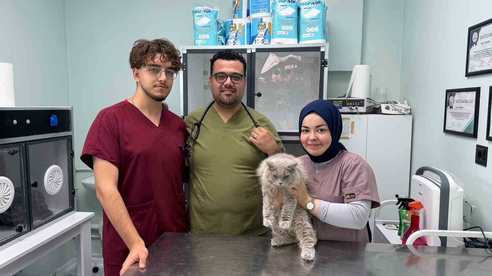 veterinerde-deprem-etkisi-yapan-kedi-turkiye-nin-gundeminde
