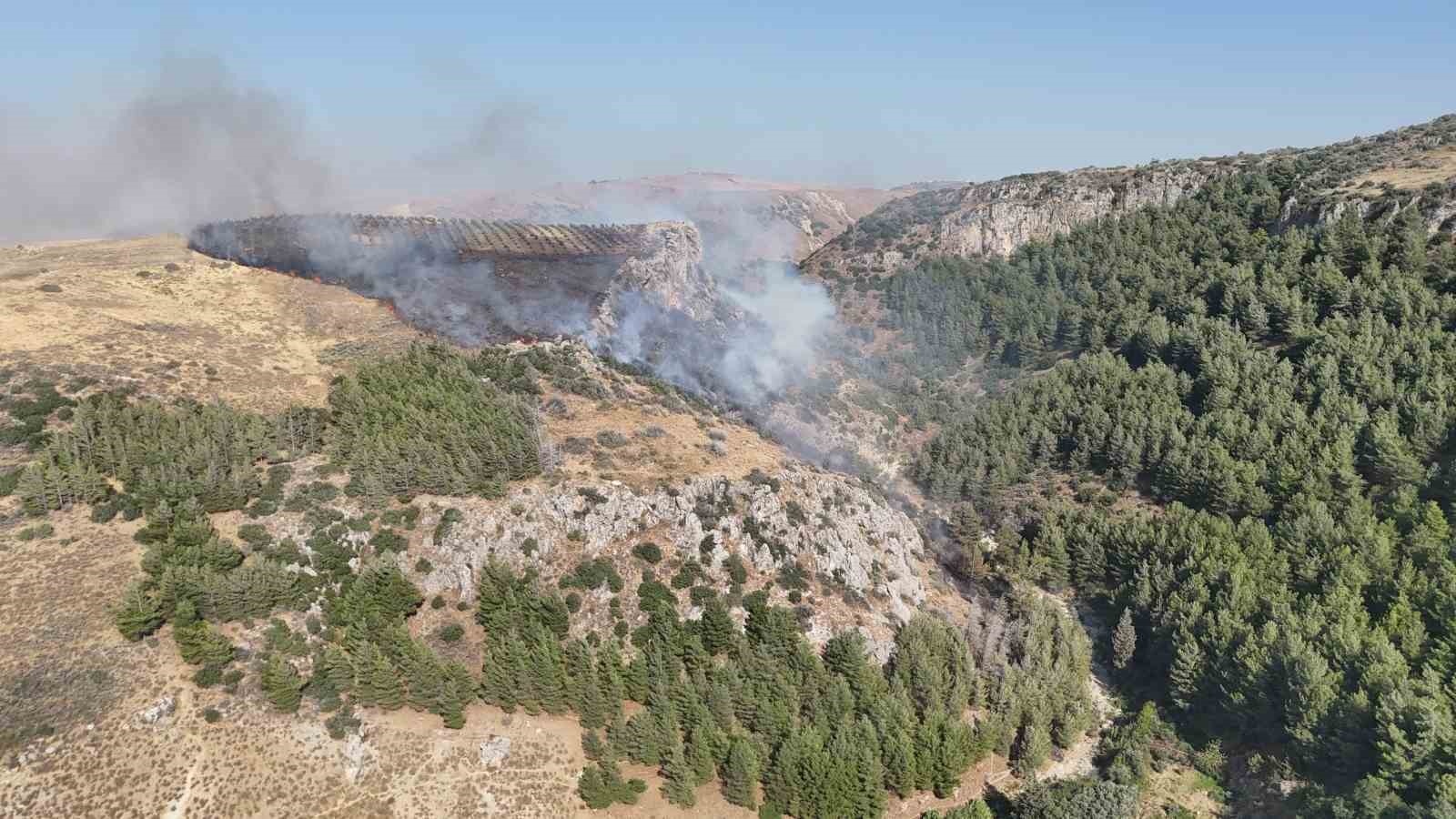 hatay-da-orman-yangini-cikti