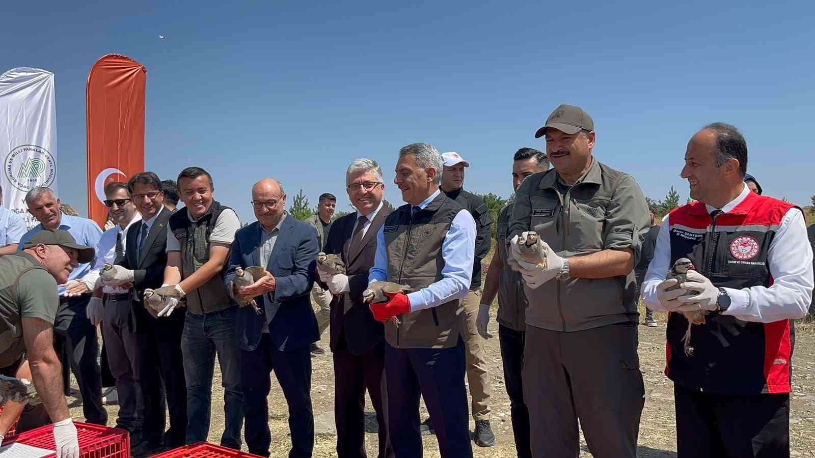 camlik-milli-parki-nda-bin-keklik-dogaya-kanat-cirpti
