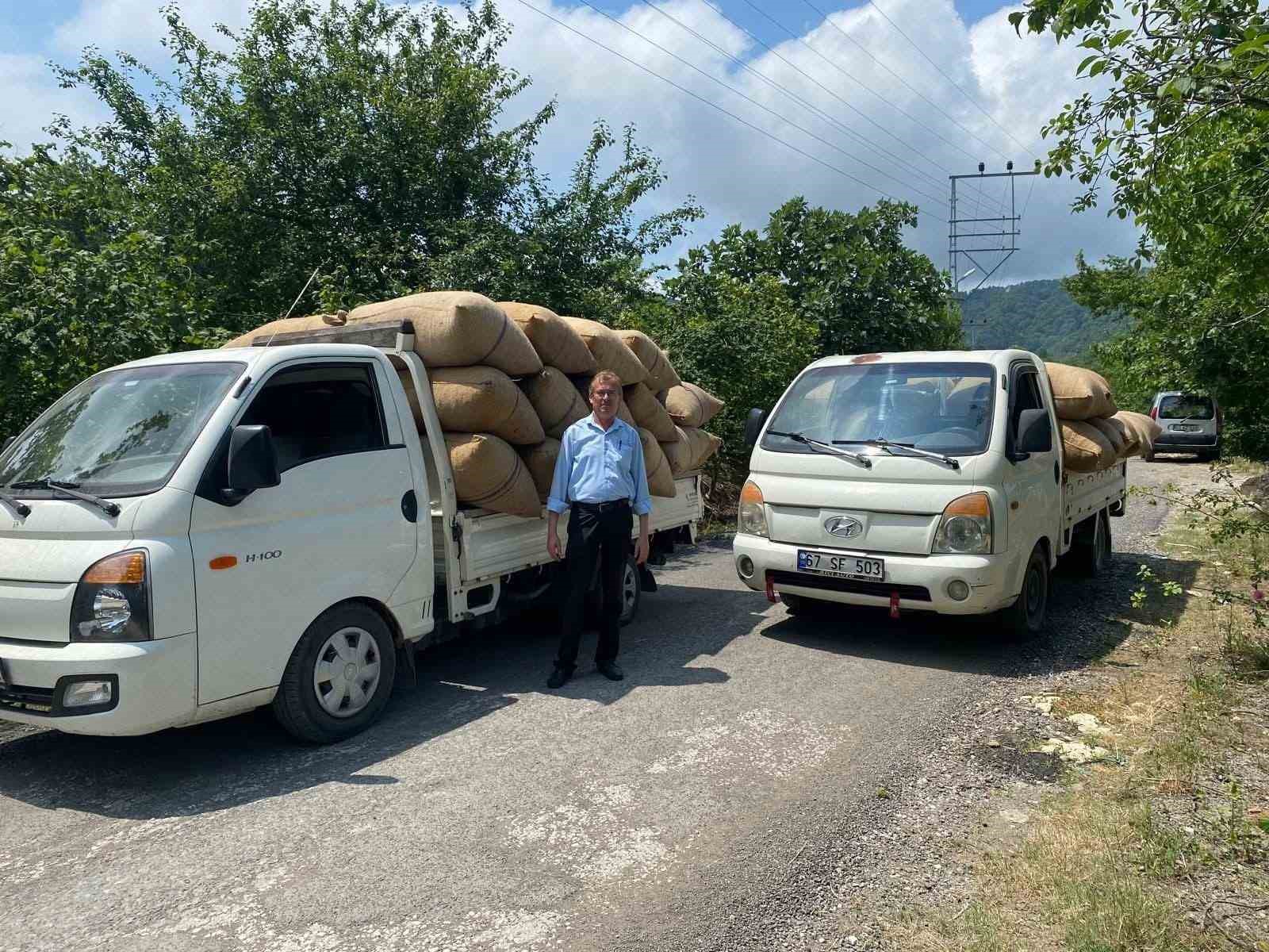 findik-tuccarindan-ureticiye-kritik-uyari-dalindan-toplamayin-yere-dokulmesini-bekleyin