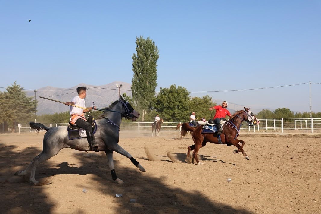 civril-de-festival-coskusuna-atli-cirit-gosterisi-renk-katti