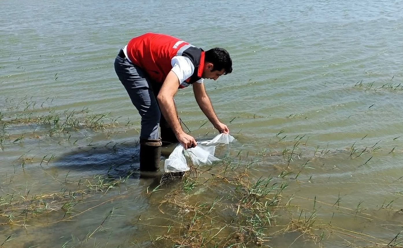 tekirdag-da-goletlere-150-bin-balik-birakildi