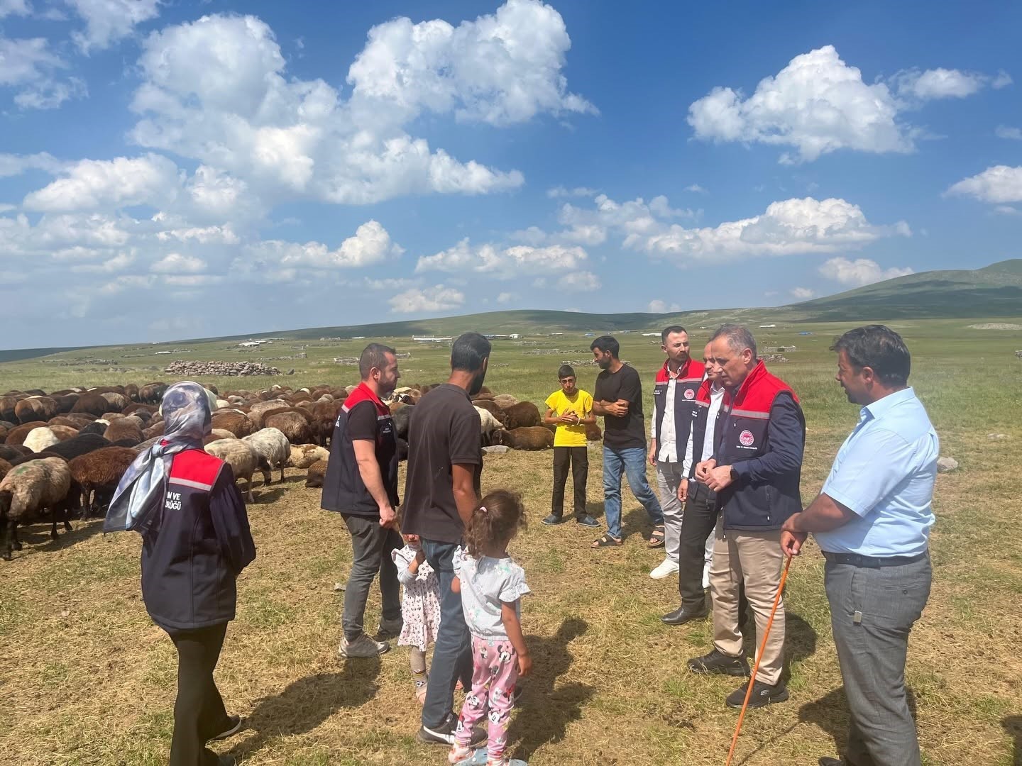 kars-ta-yaylalarda-hayvanciliga-yakin-takip