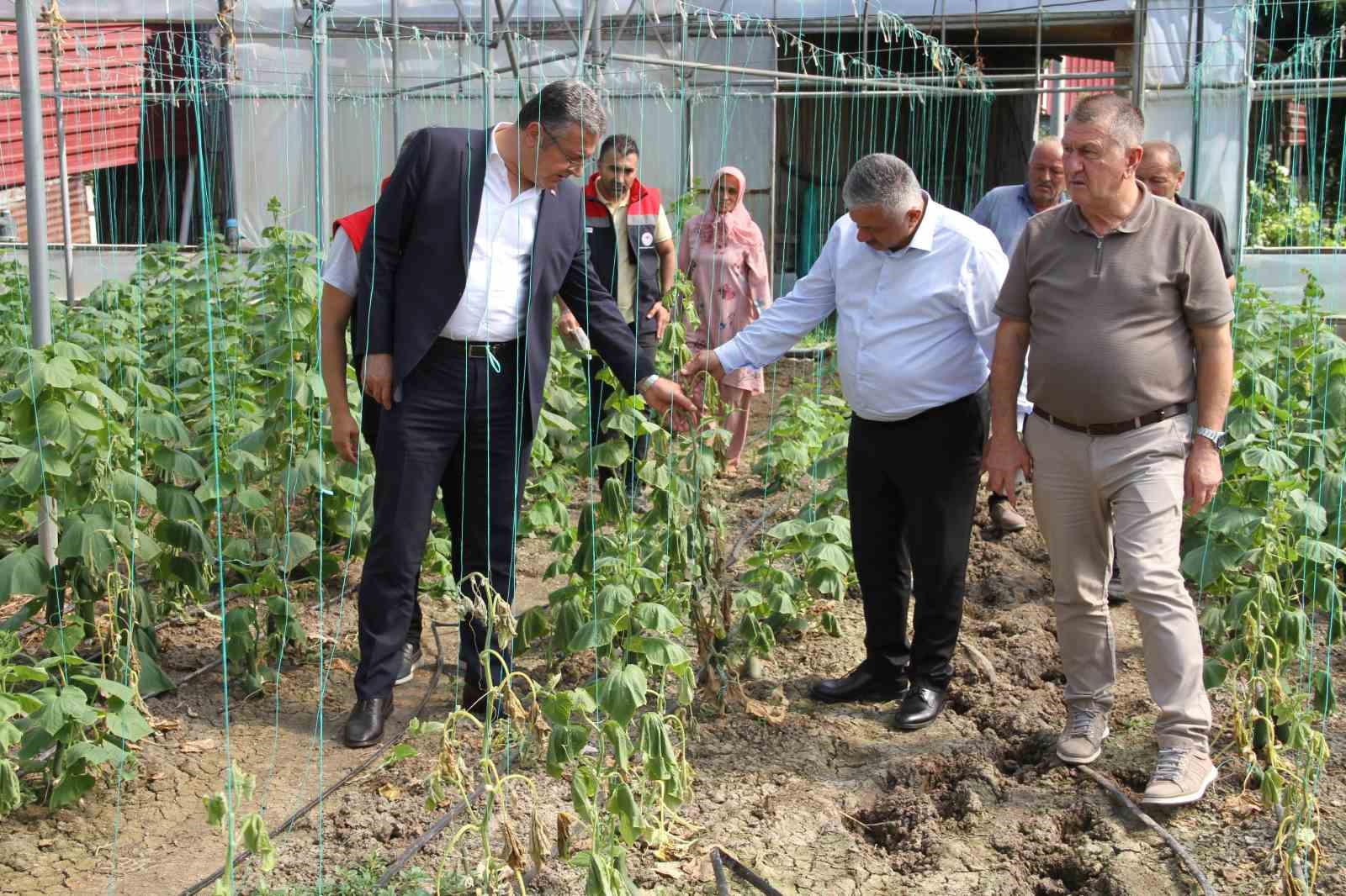 carsamba-ovasi-nda-saganagin-bilancosu-agir-30-mahallede-5-bin-dekar-zarar
