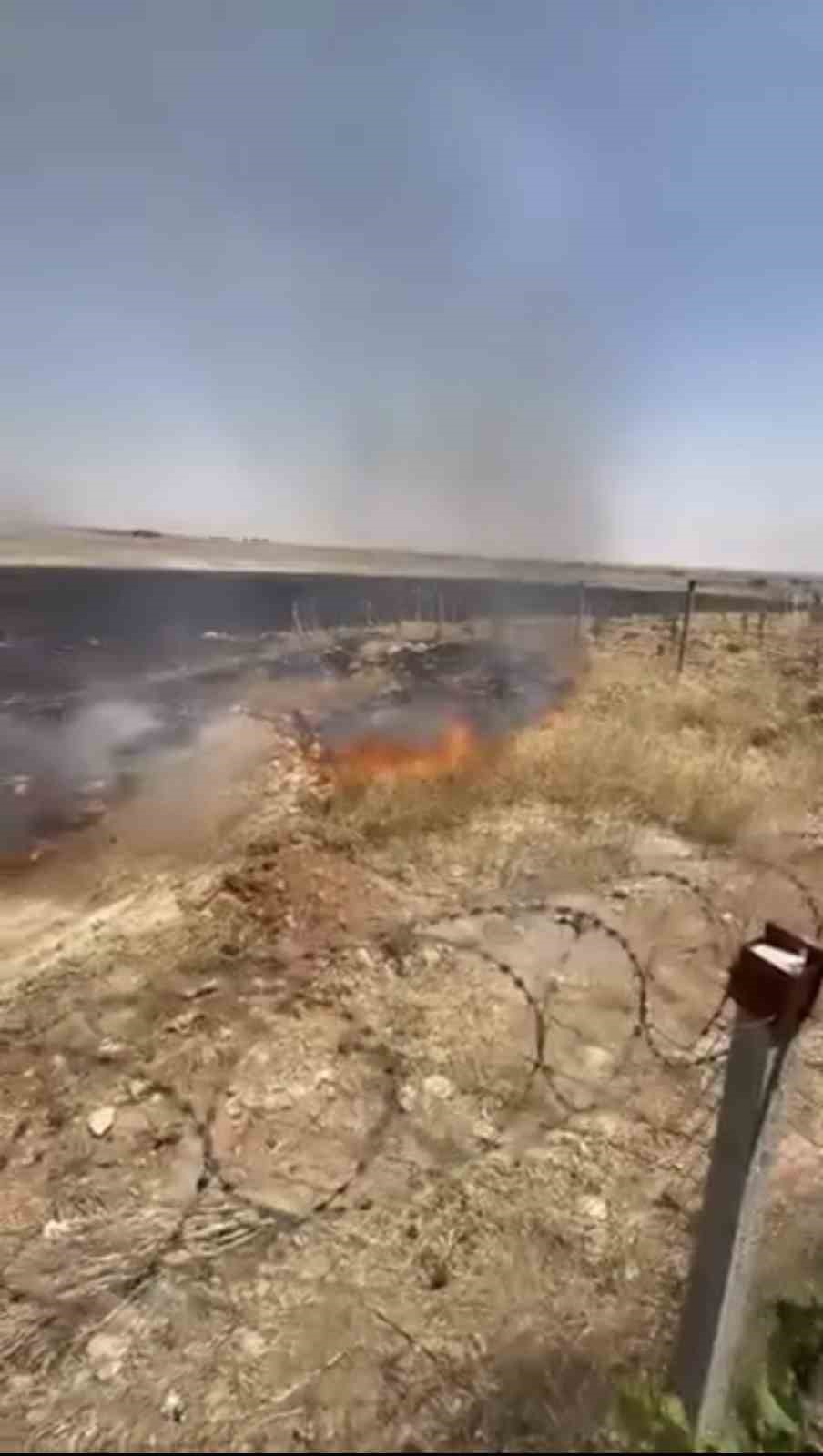 mardin-de-cikan-aniz-yanginina-mudahale-ediliyor