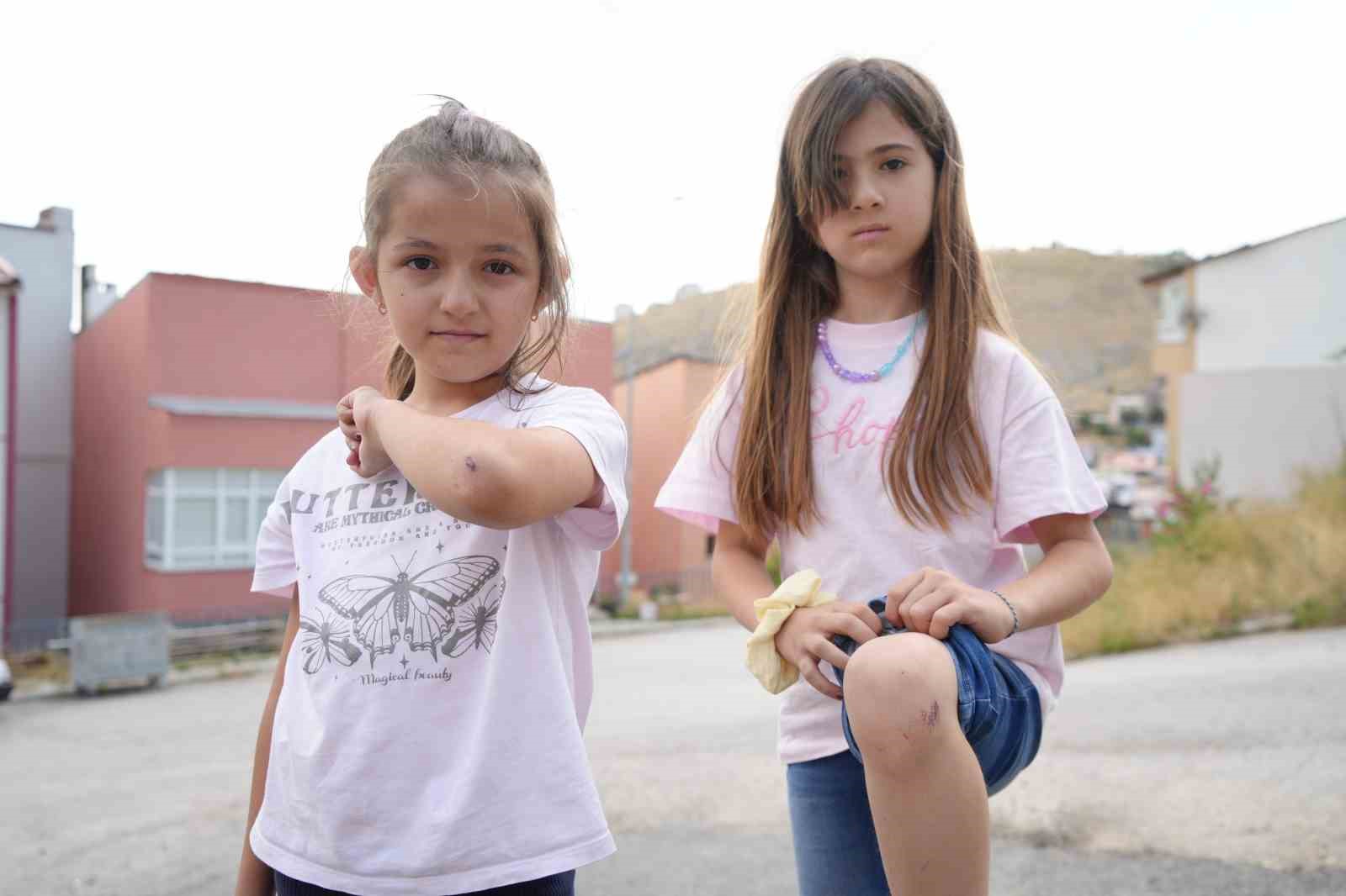 bayburt-a-tatile-gelen-iki-kuzen-kopeklerden-kacarken-yaralandi