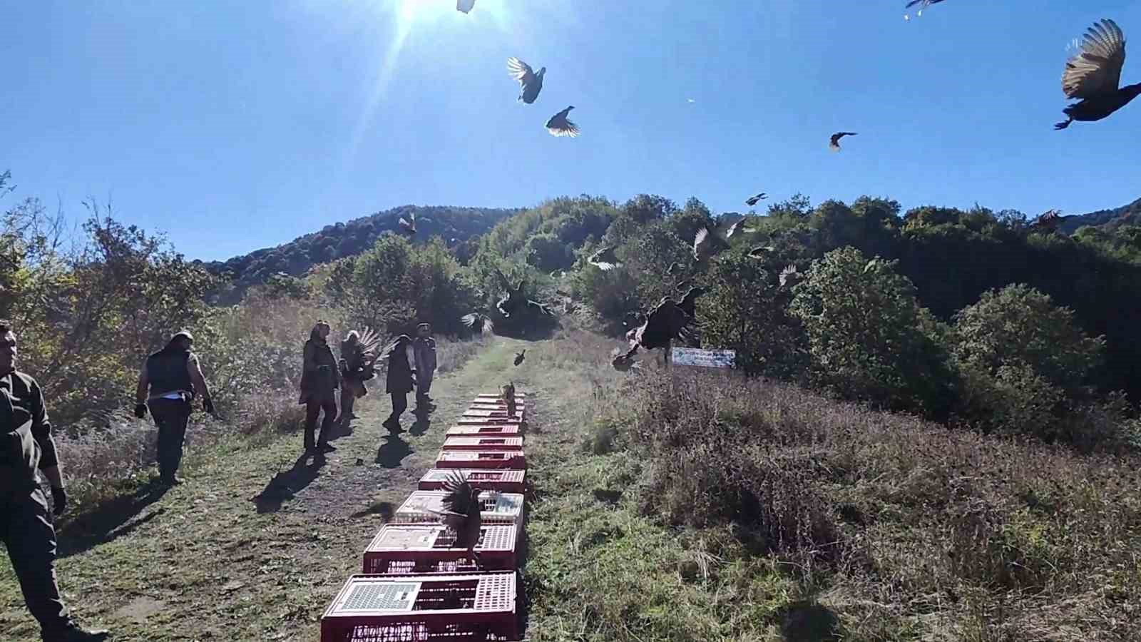 zonguldak-ta-yaban-hayatini-desteklemek-icin-sulunler-dogaya-salindi