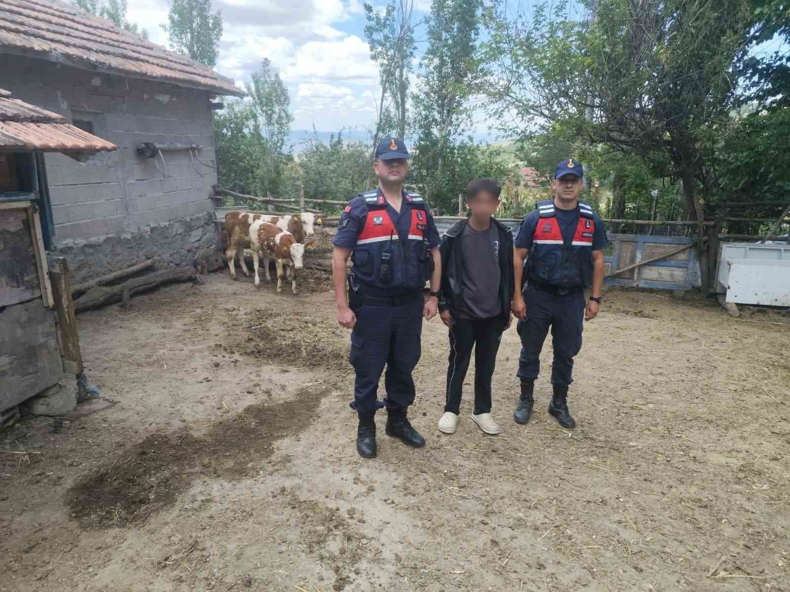 hayvanlarini-kaybeden-ciftcinin-yardimina-jandarma-ekipleri-kostu