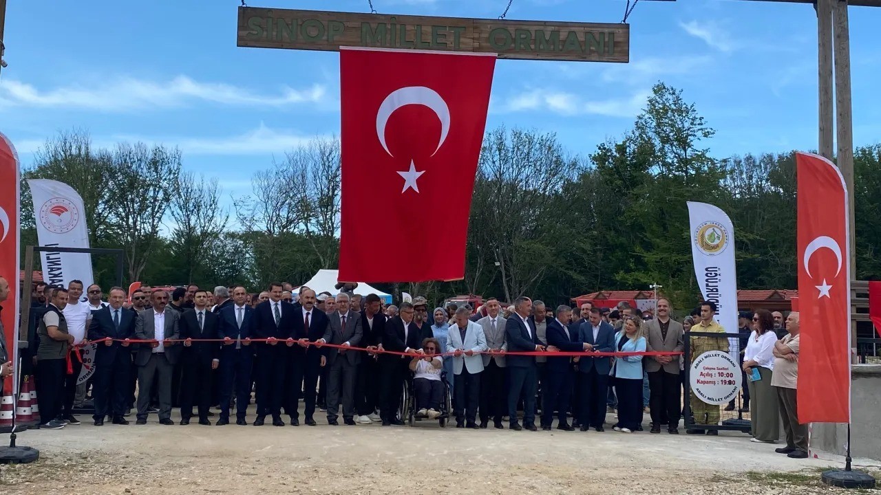 sinop-millet-ormani-hizmete-acildi