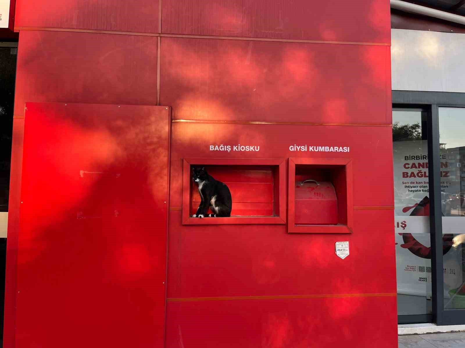 kizilay-in-sevimli-bekcisi