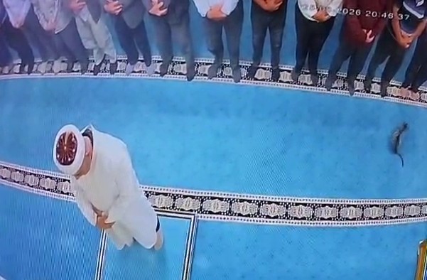 camide-kediyi-tekmeleyen-sahsa-sosyal-medyada-tepki-yagdi-bassavcilik-harekete-gecti-gozaltina-alindi