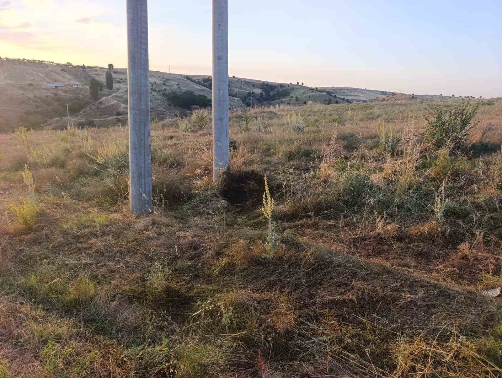 bilecik-te-elektrik-akimina-kapilan-kus-yangina-sebep-oldu