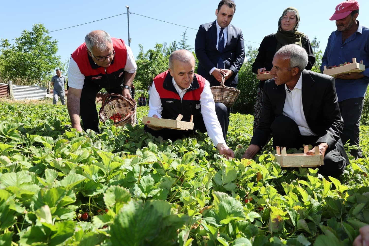 vali-hatipoglu-cilek-hasadi-yapti