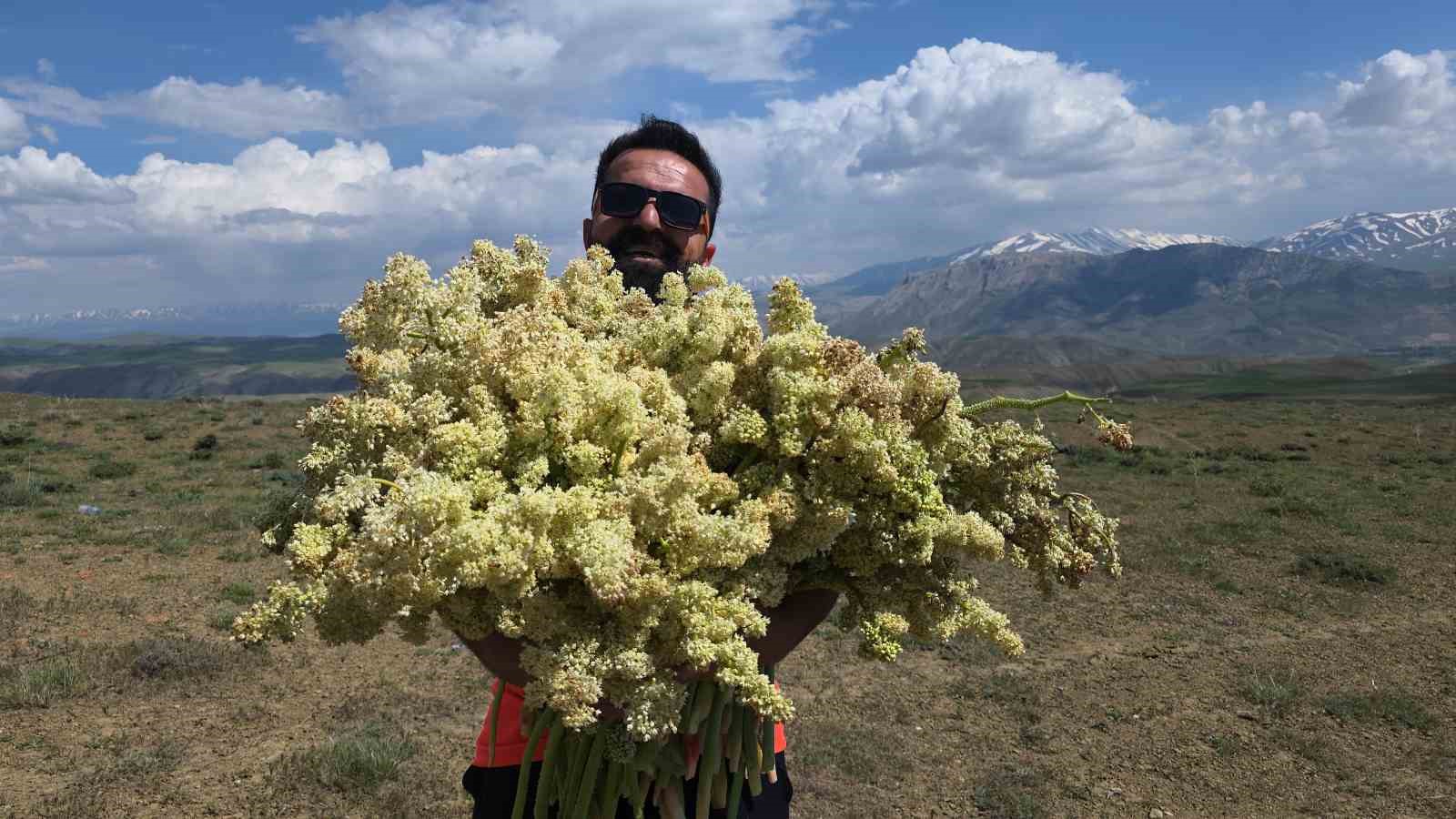 yayla-muzunu-vatandas-kendi-topluyor