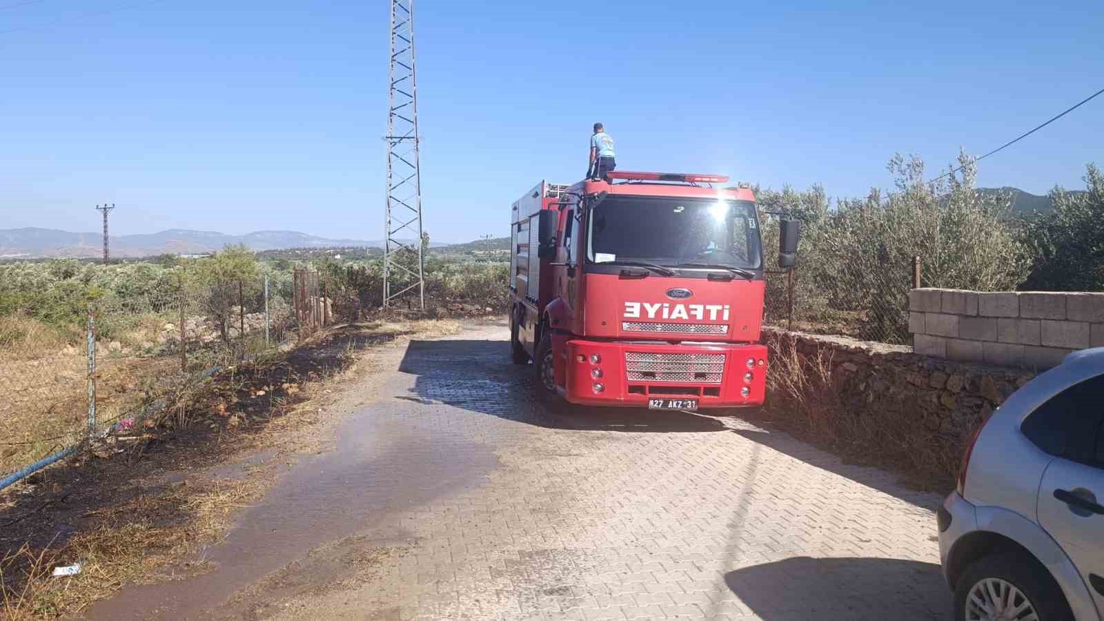 gaziantep-te-zeytinlik-alanda-yangin