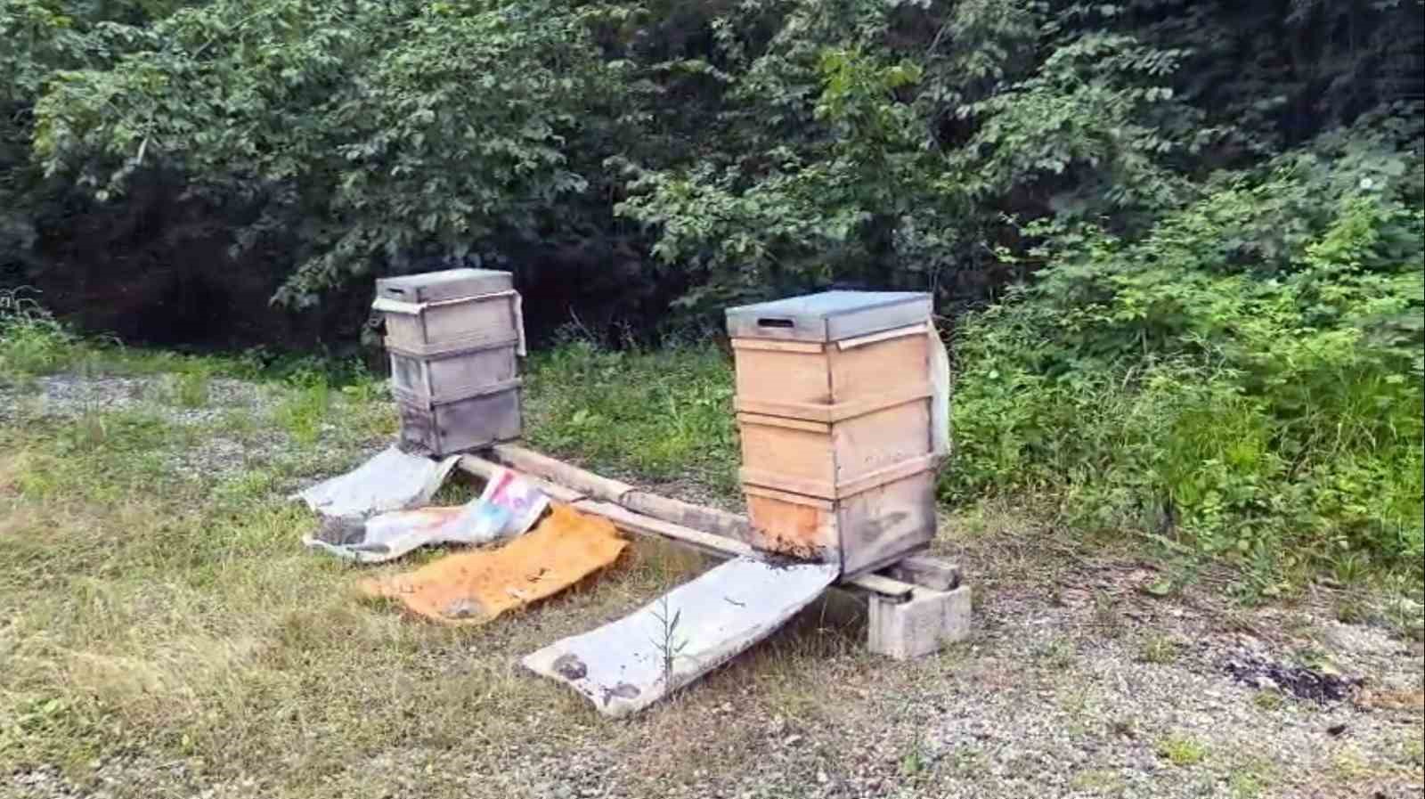 bilincsiz-ilaclama-arilarimiza-zarar-veriyor