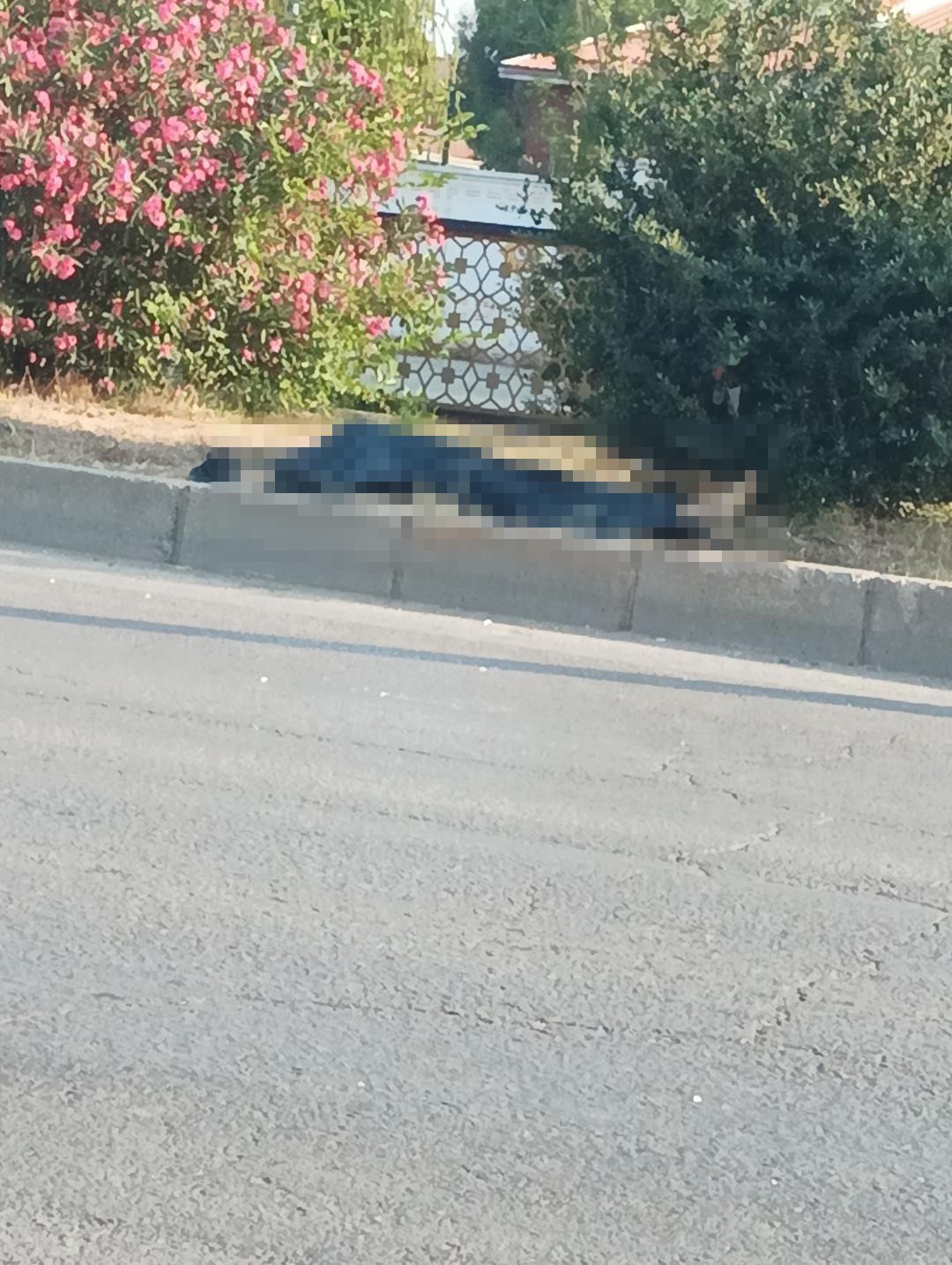 adana-da-minibusun-carptigi-yaya-hayatini-kaybetti