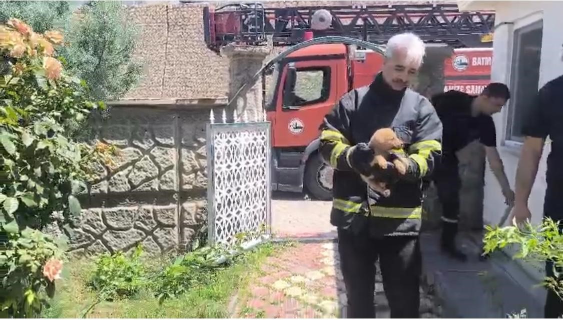 batman-da-fabrika-duvarina-sikisan-kopek-kurtarildi-isciler-hayvani-sahiplendi