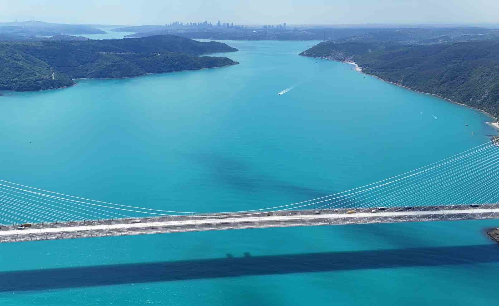 turkuaza-donen-istanbul-bogazinda-yunuslar-akin-etti