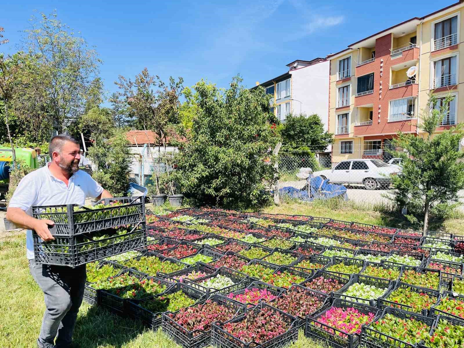 taskopru-belediyesi-70-bin-cicekle-ilceyi-rengarenk-yapacak