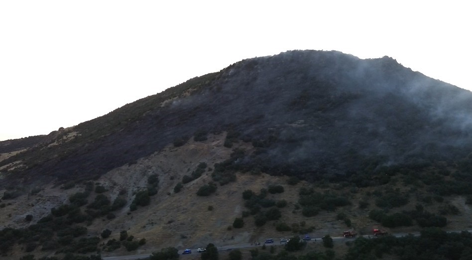 konya-da-ormanlik-alanda-yangin