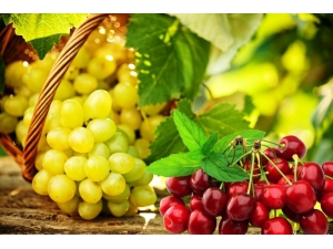 Kiraz Ve Üzüm Uzakdoğu Ülkelerine Hava Kargoyla Ulaşacak