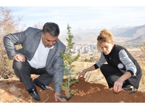 Şehitler Anısına 500 Fidan Diktiler