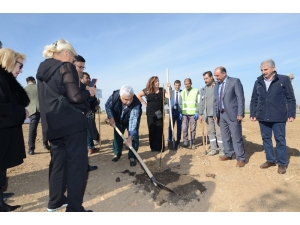 Sanatçılar Nikah Şahidi Oldu, Fidan Dikti