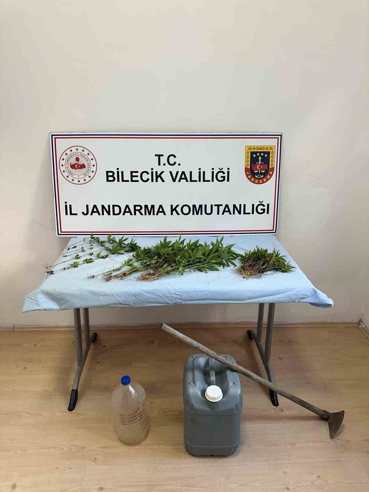 ormanlik-arazide-kenevir-ekimi-yapan-sahis-ektikleri-sularken-yakalandi