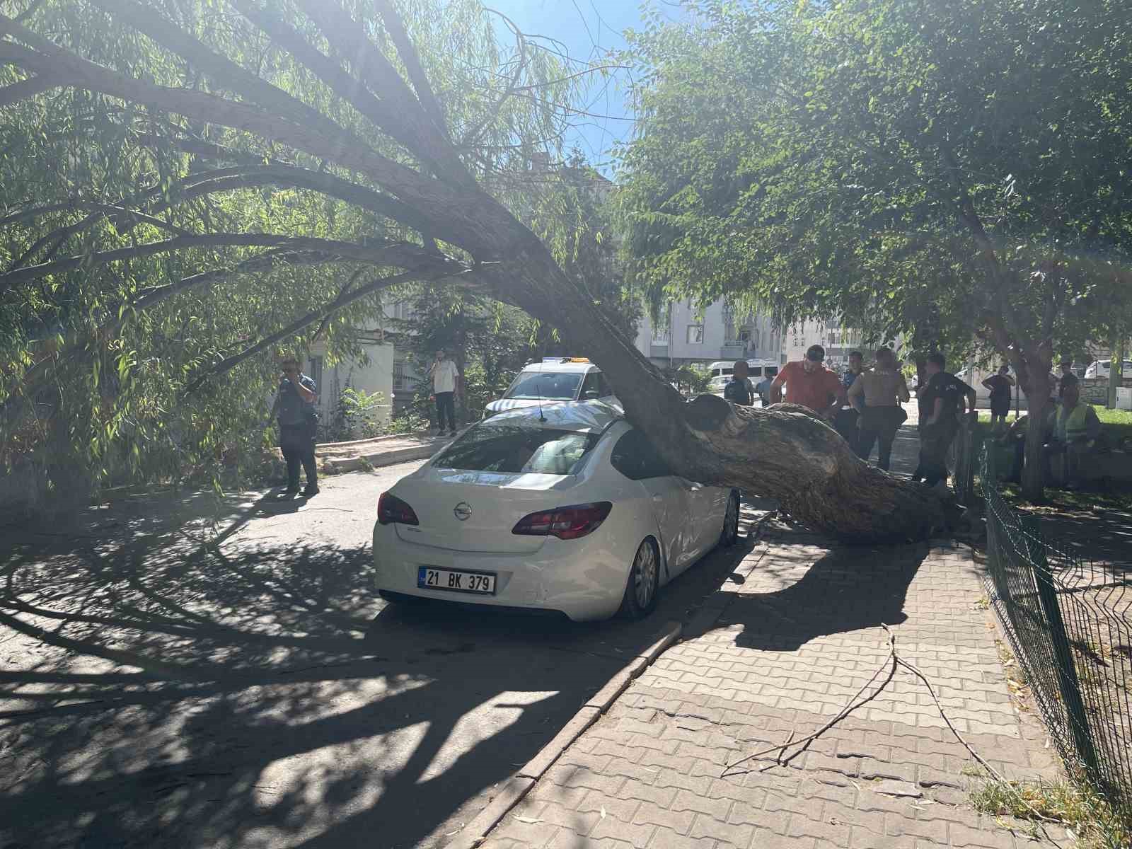 nigde-de-park-halindeki-otomobilin-uzerine-agac-devrildi