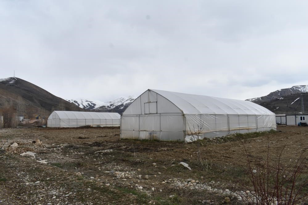 erzincan-da-sera-ortusu-yenileme-destegi-basvurulari-uzatildi