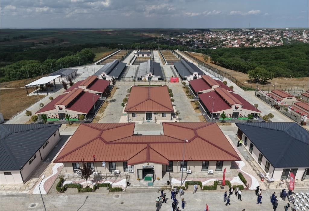 tekirdag-da-5-binden-fazla-sahipsiz-hayvana-umut-oldular
