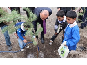 Selim’de Fidan Dikimi Yapıldı